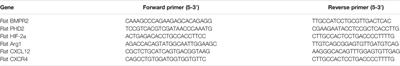 Polydatin Glycosides Improve Monocrotaline-Induced Pulmonary Hypertension Injury by Inhibiting <mark class="highlighted">Endothelial-To-Mesenchymal Transition</mark>
